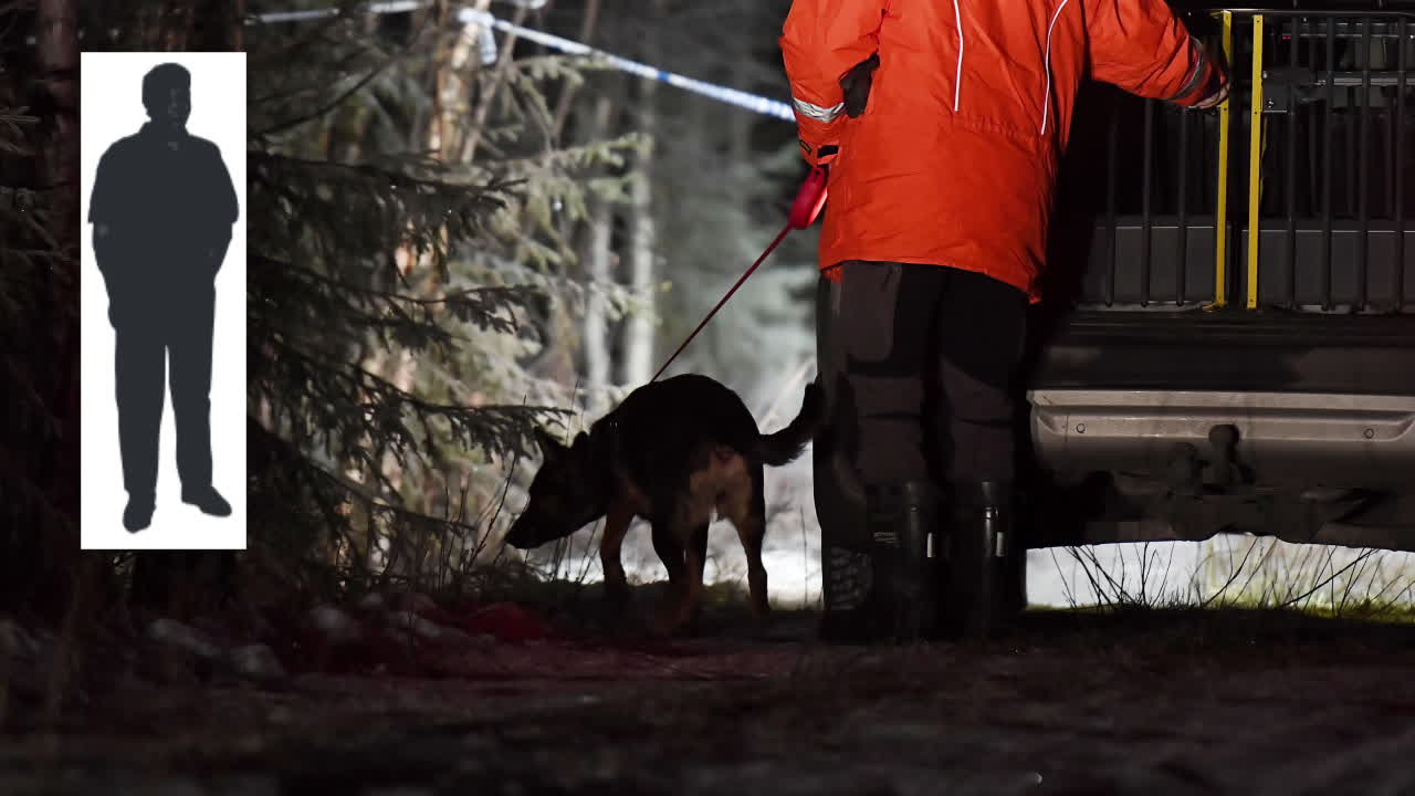 Misstänkt mördad man hittad invirade i filt – mitt i skogen