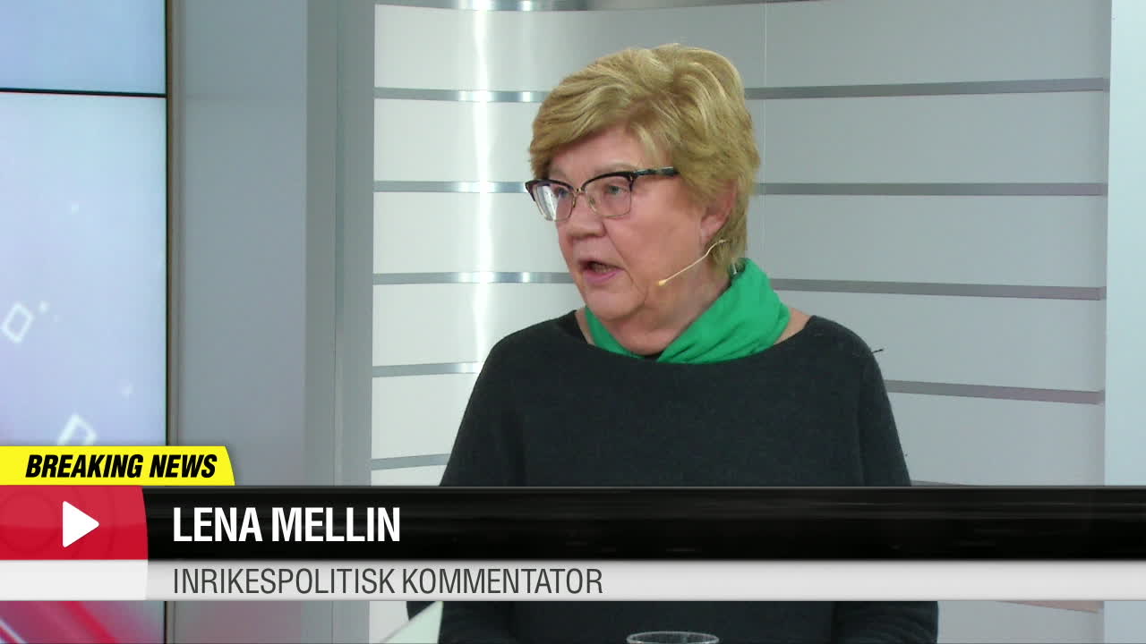 Lena Mellin om åtalet mot Peter Lundgren (SD) : ”Ingen pr för ett parti som vill locka kvinnor”