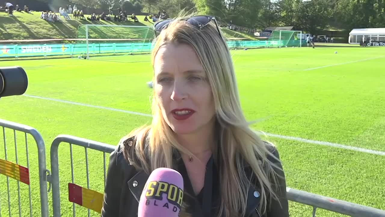 Frändén: ”Det är ett mardrömsläge för Sverige"