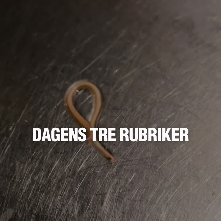 Dagens tre rubriker