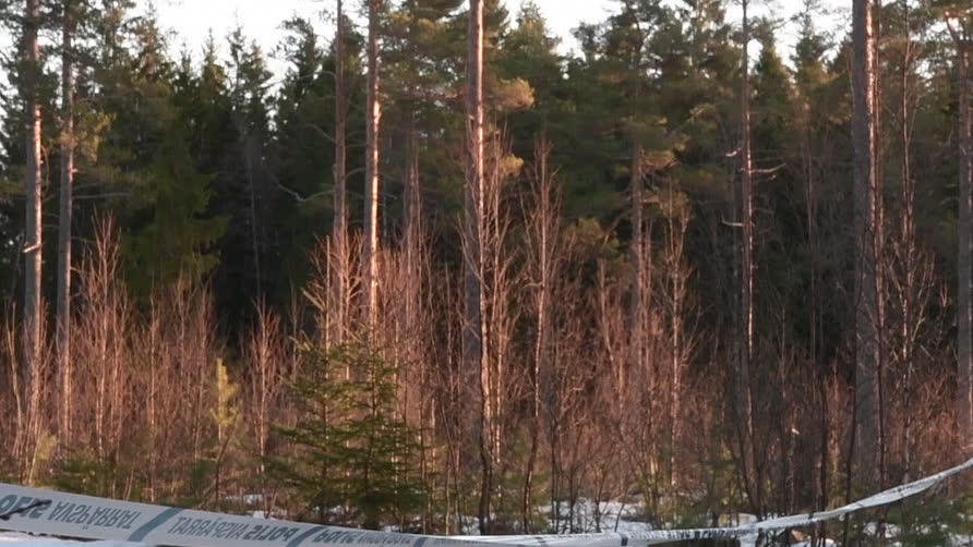 Ung man gripen för dubbelmord