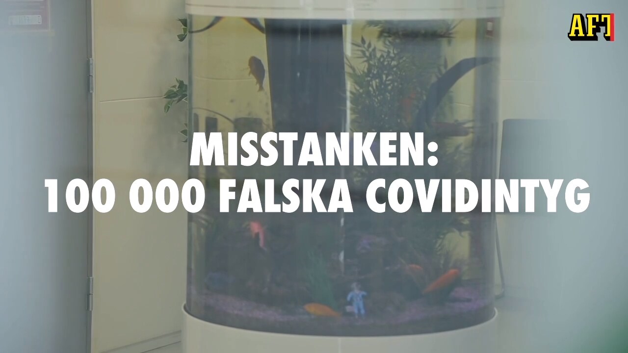 Förfalskade 100 000 covidintyg - misstänks ha flytt utomlands