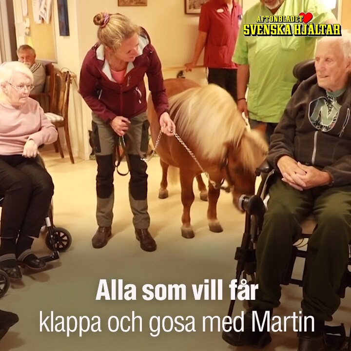Ponnyn Martin sprider glädje på äldreboendet