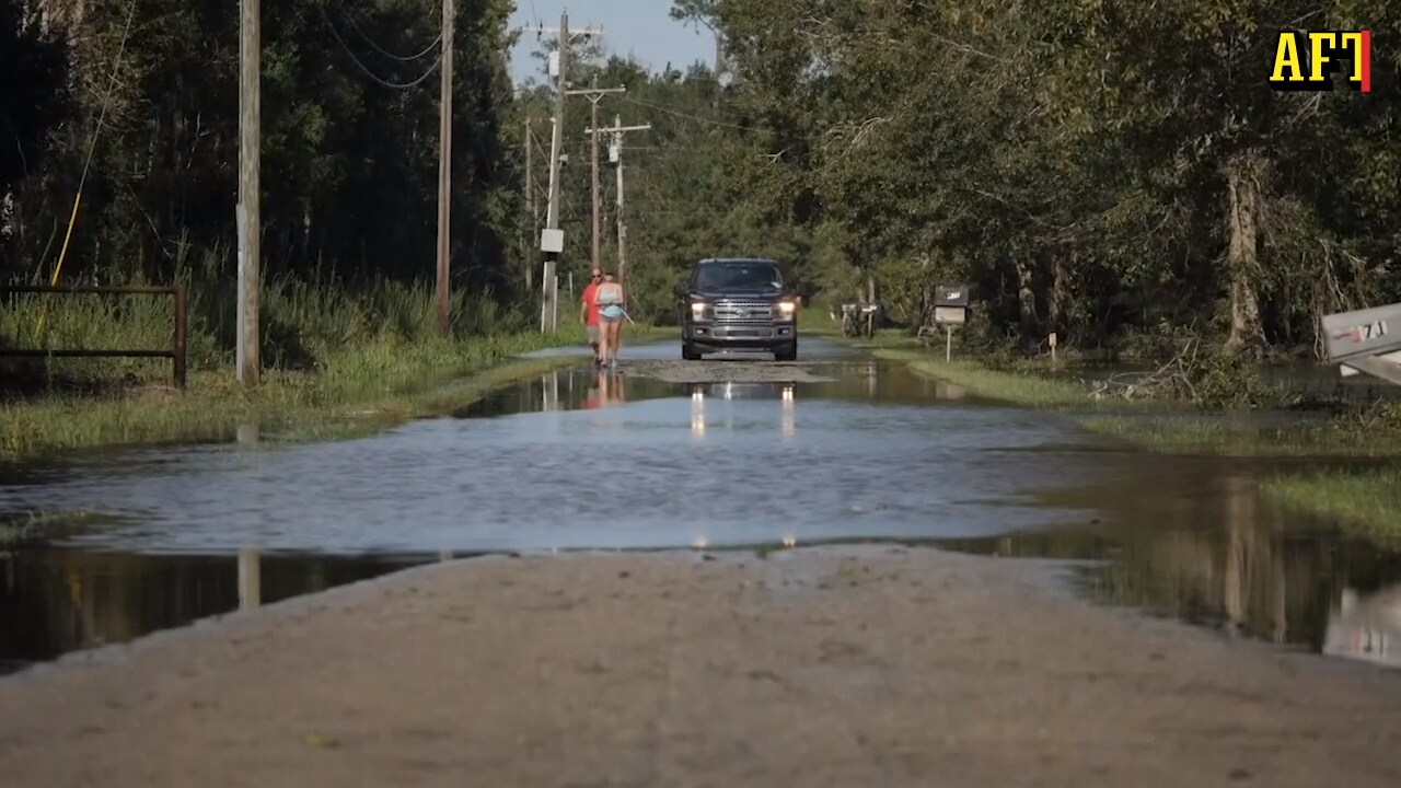 Alligatorproblem efter översvämningar i Louisiana