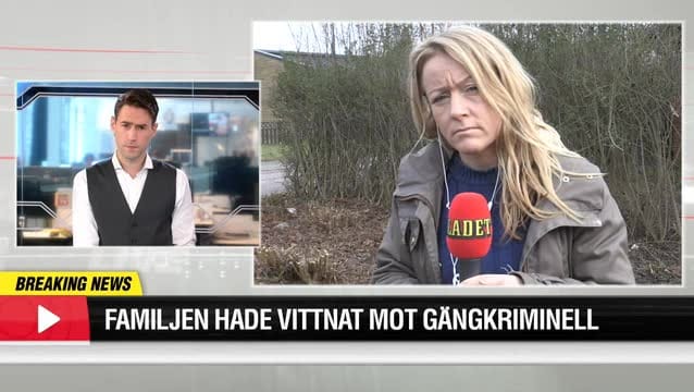 Familjen hade vittnat mot yrkeskriminell