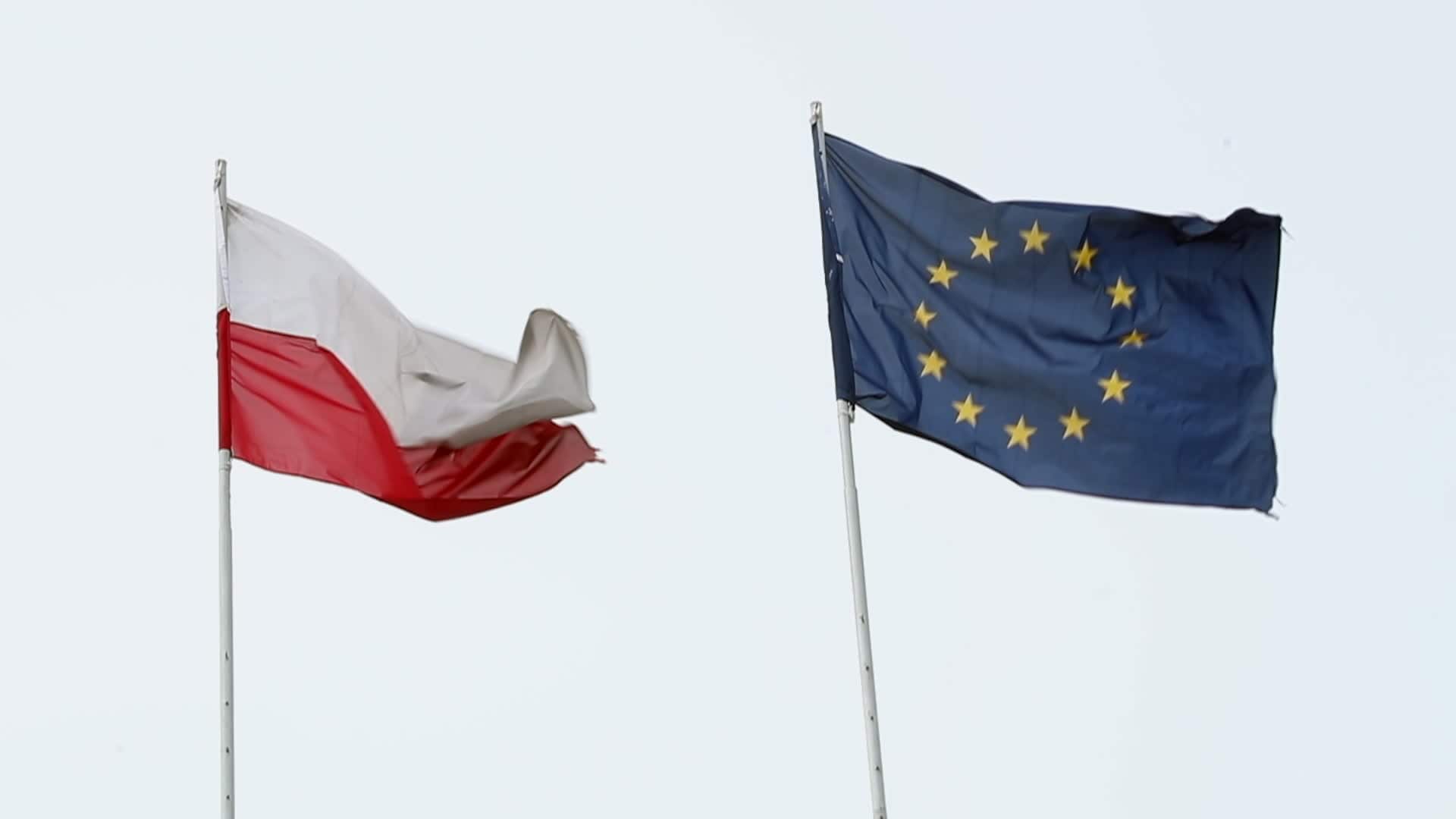 Gruppen för krig mot sexualundervisning – stöttas av regeringen