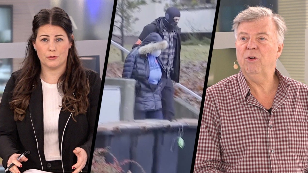 Misstänks ha planerat statskupp i Tyskland – prins ska ha gripits