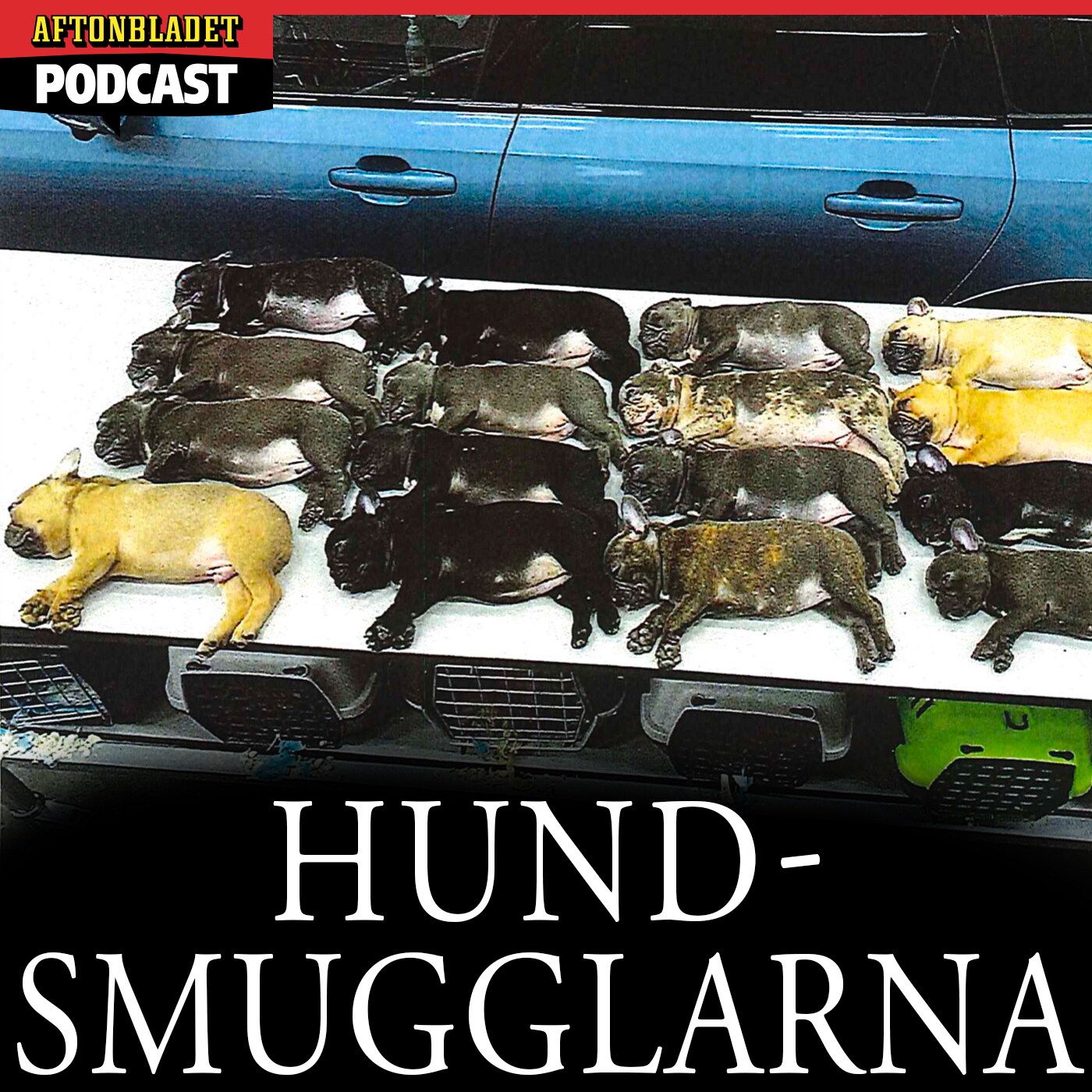 Hundsmugglarna