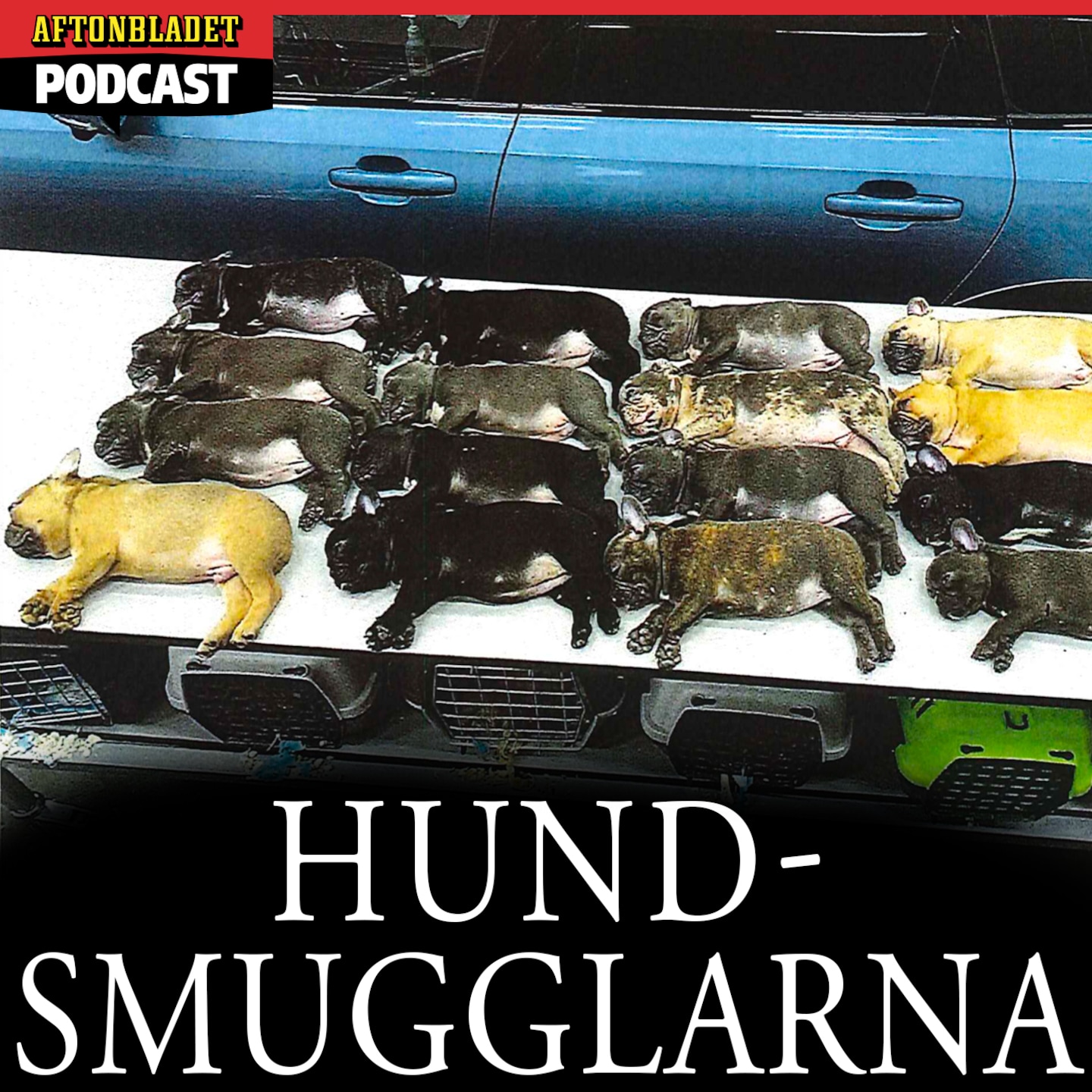 Episode Logo