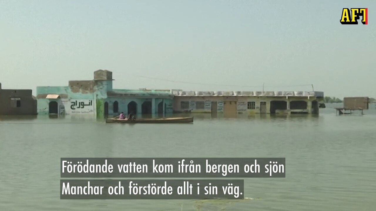 Larmet: "Det finns inget hopp"