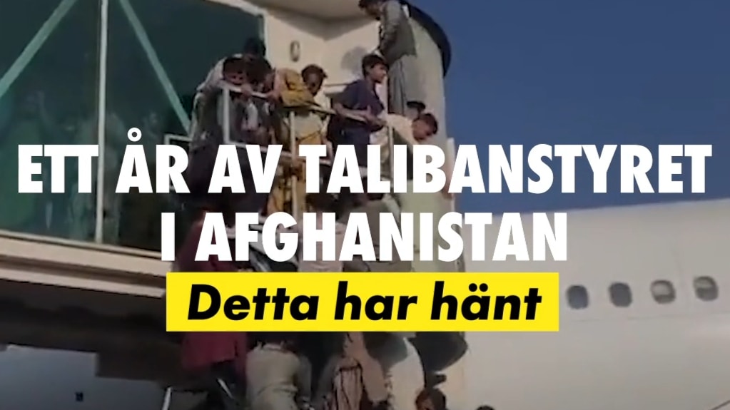 Ett år av talibanstyret i Afghanistan - detta har hänt