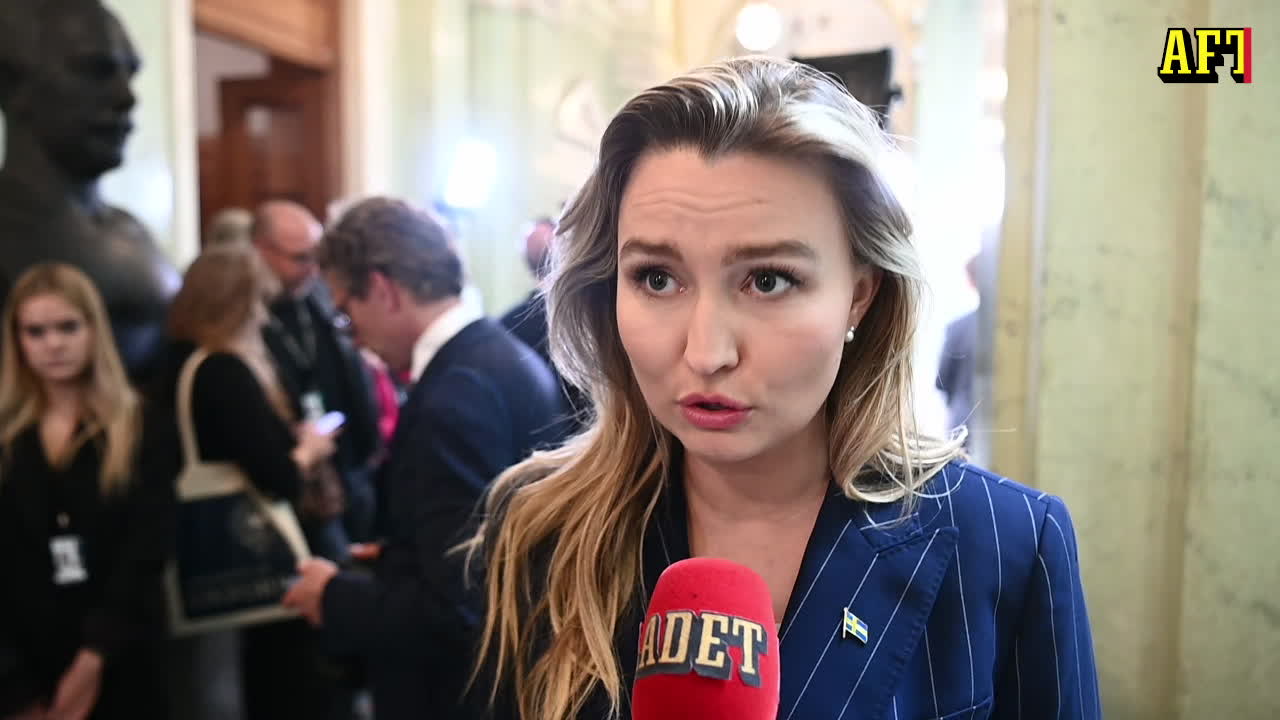 Busch (KD): Dra in bistånd till Turkiet för att få ut Kurdiska räven