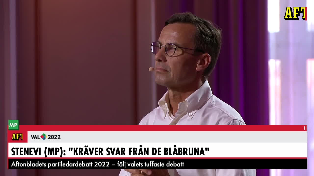 Stenevi: "Jimmie det är så dags att du tar av den foliehatten"