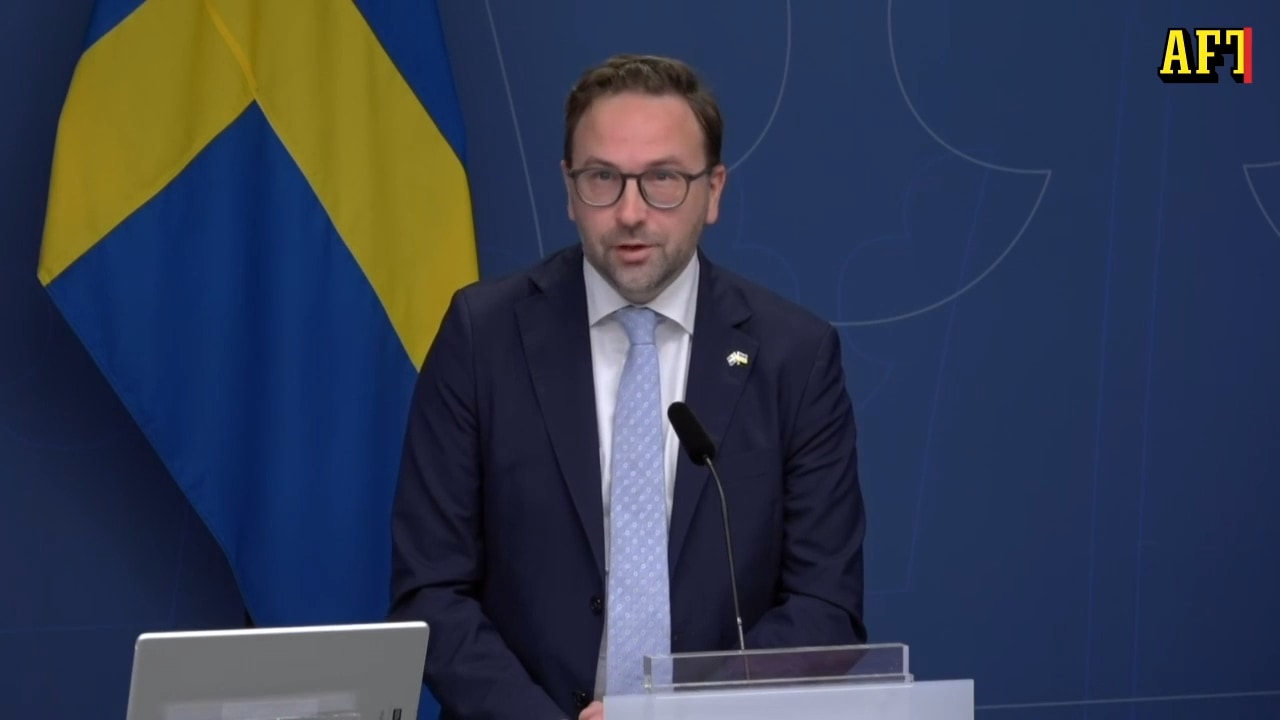 Här citerar politikern ”Fem myror är fler än fyra elefanter”