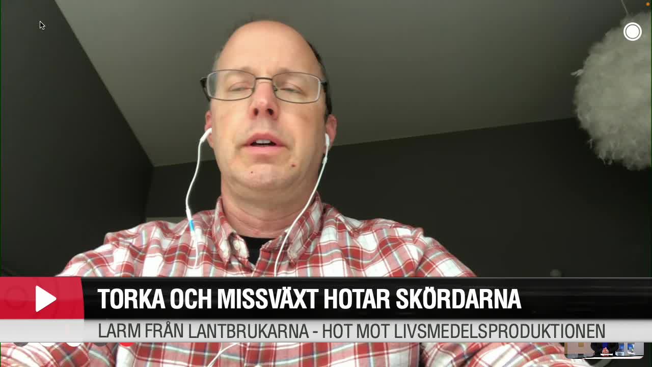 Larm från lantbrukarna: Torka och missväxt hotar skördarna