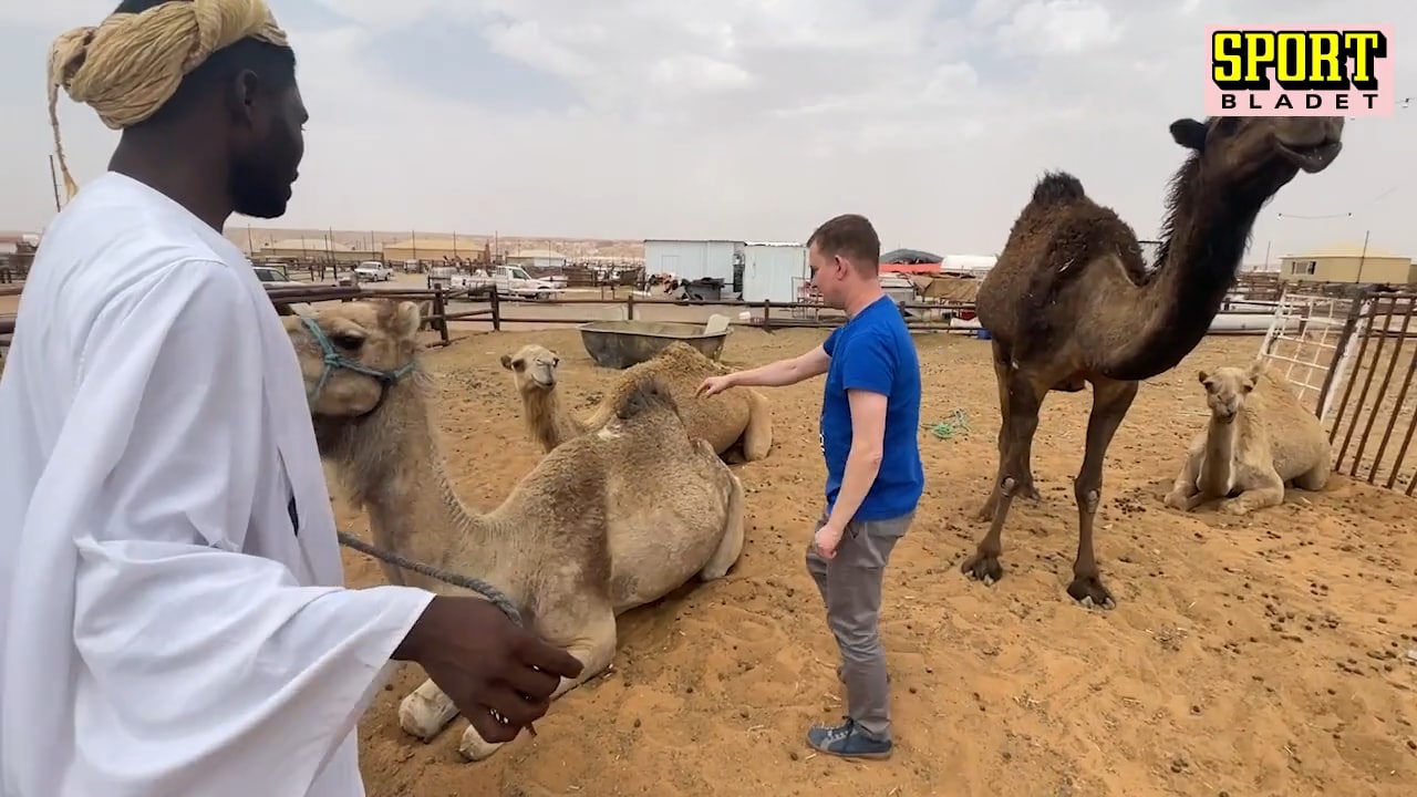 Erik Niva SKA rida på en kamel – åker till ”militärbas”