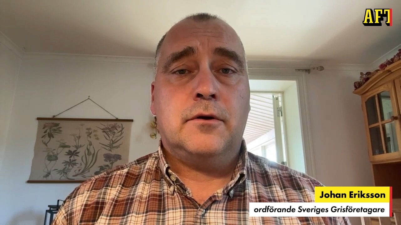 Sveriges Grisföretagare: Våra medlemmar känner en oro