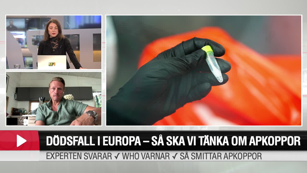 Dödsfall i Europa-Så ska vi tänka om apkoppor