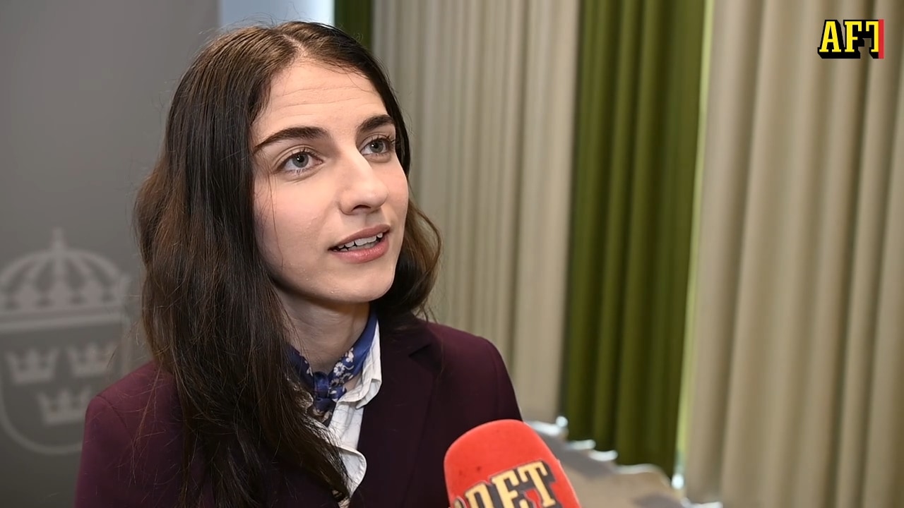 Ministern om att Åkesson vill stoppa vindkraft: ”Han har fel”