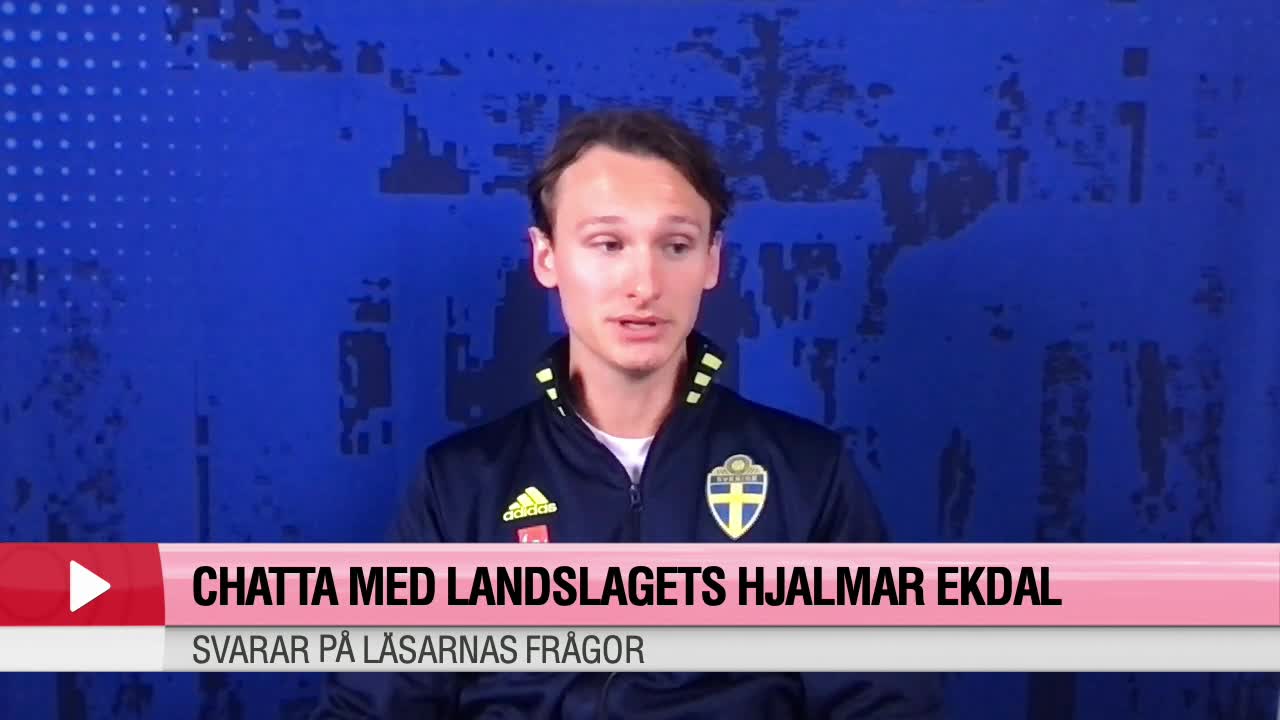 Hjalmar Ekdal svarar på läsarnas frågor