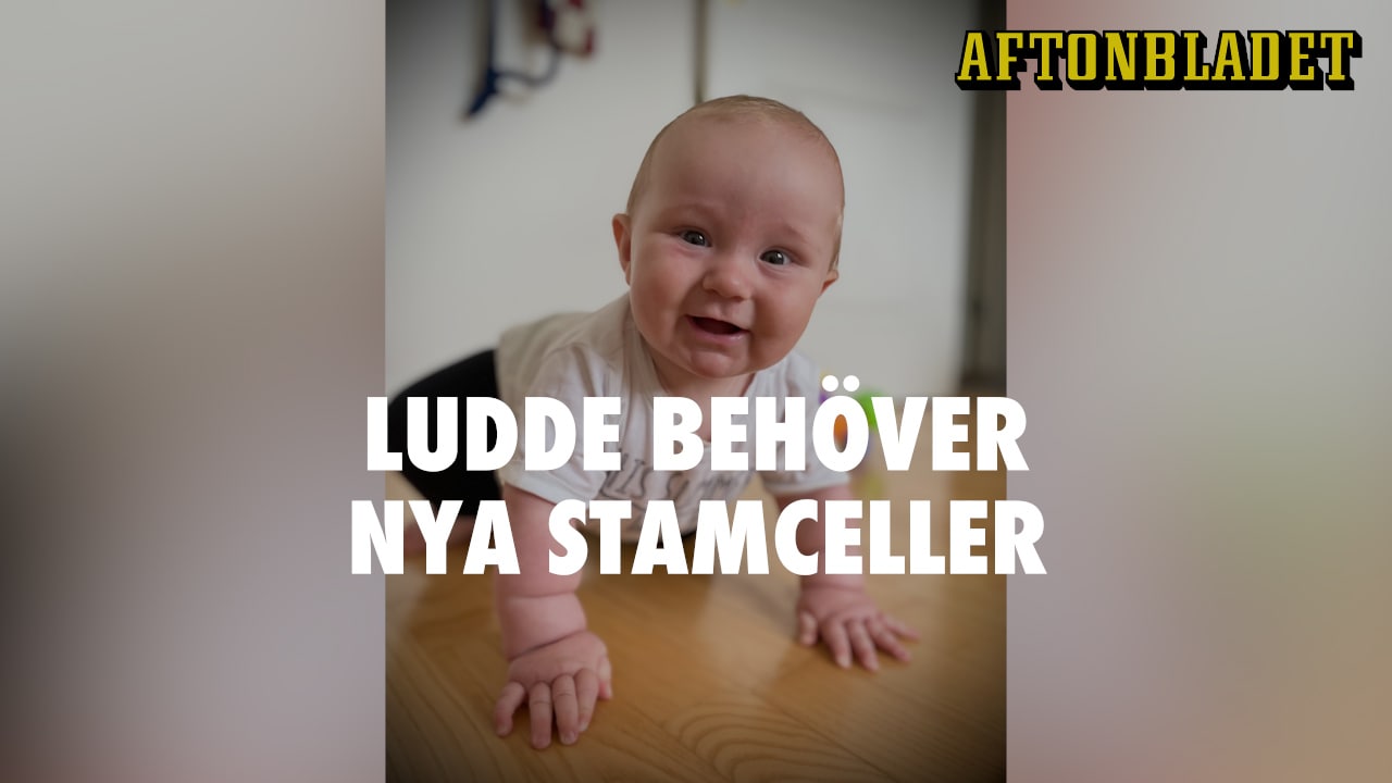 Sandlådan för farlig för Ludde: "Han kan bli helt frisk"