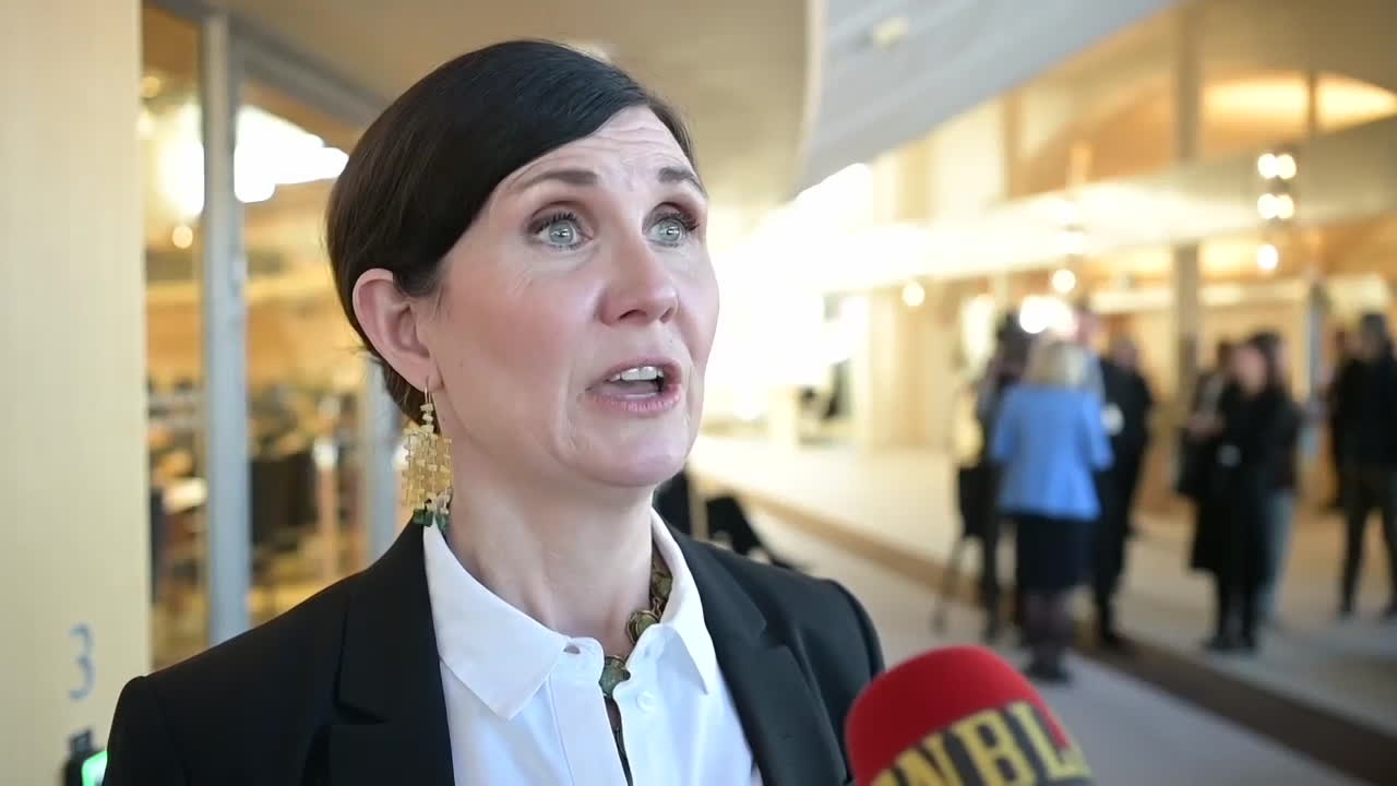 Stenevi om sekretess av elstödet: ”Mycket problematiskt”