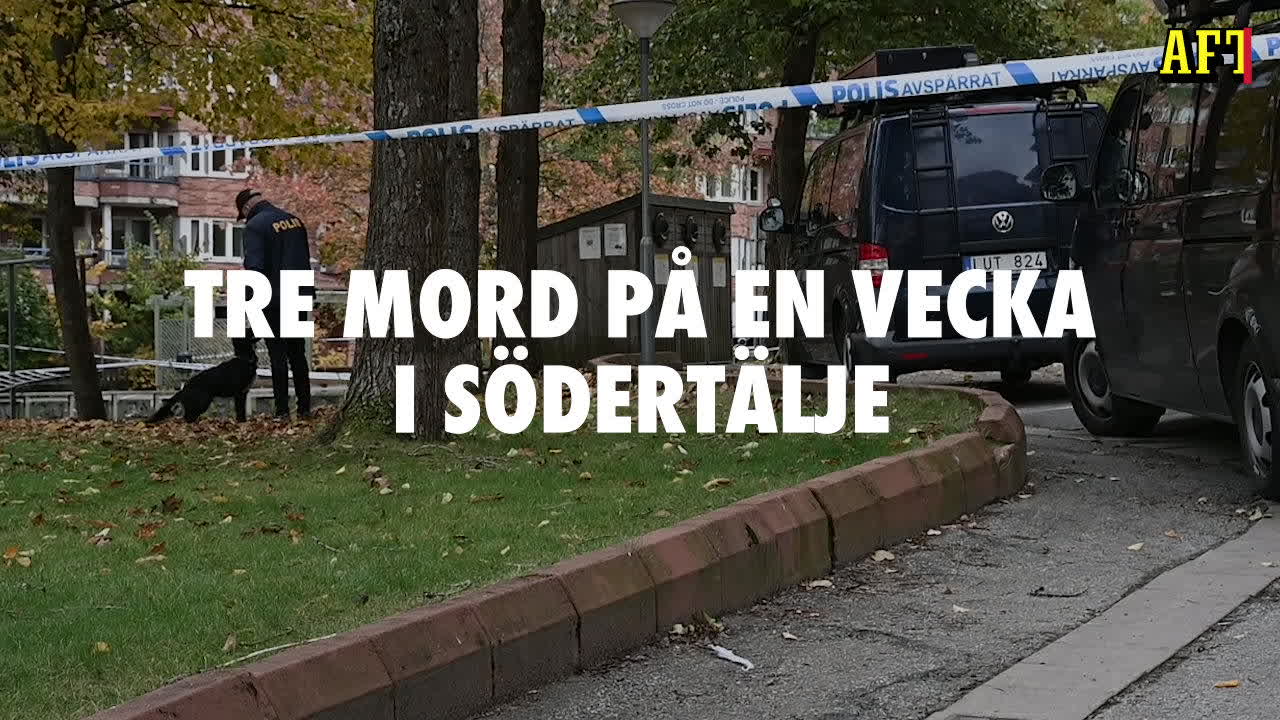 Polischefen: ”Verkar inte bry sig om sina egna liv”