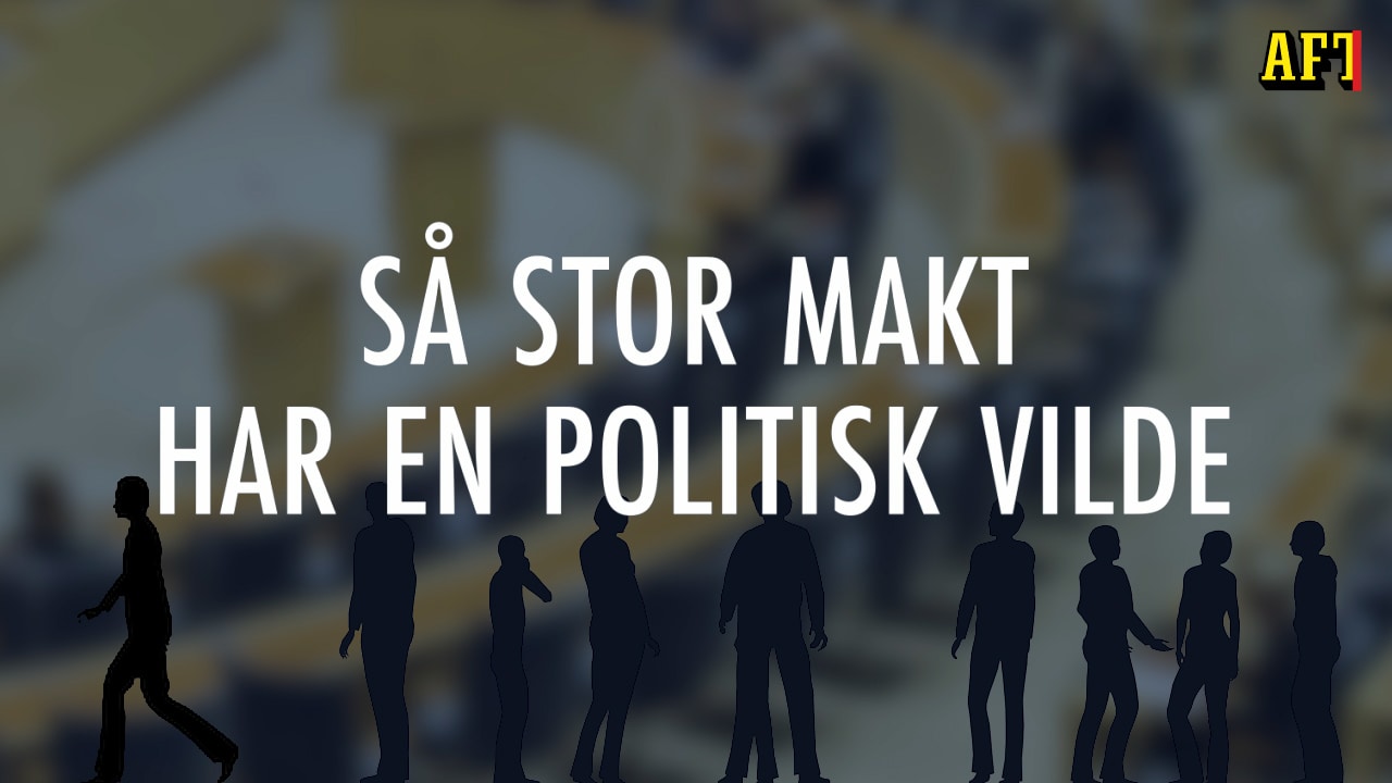 Så stor makt har en politisk vilde