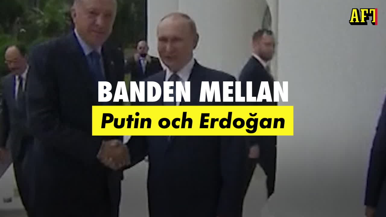 Banden mellan Putin och Erdoğan