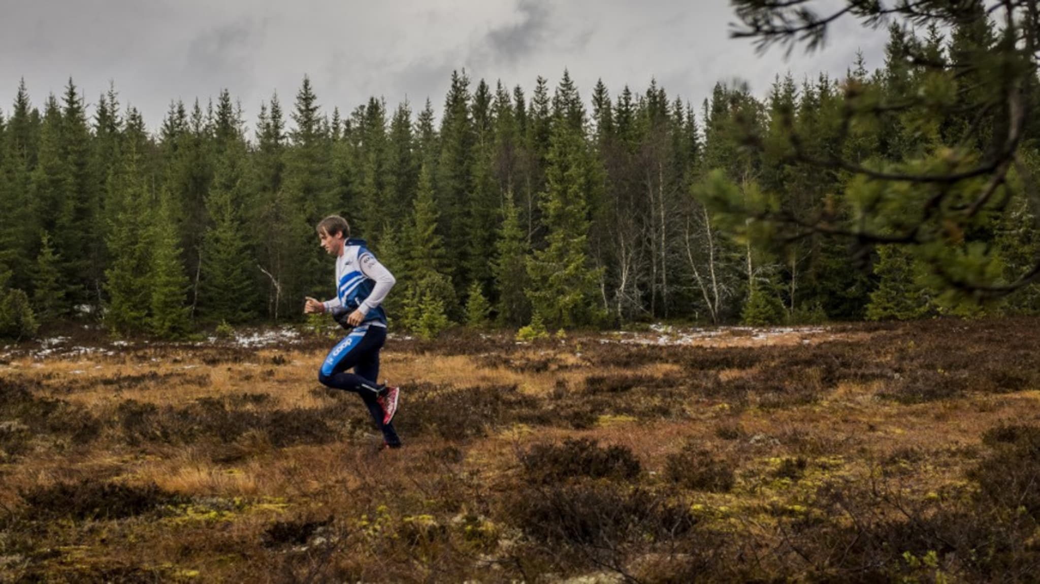 Alene mot verden; i Petter Northugs rike