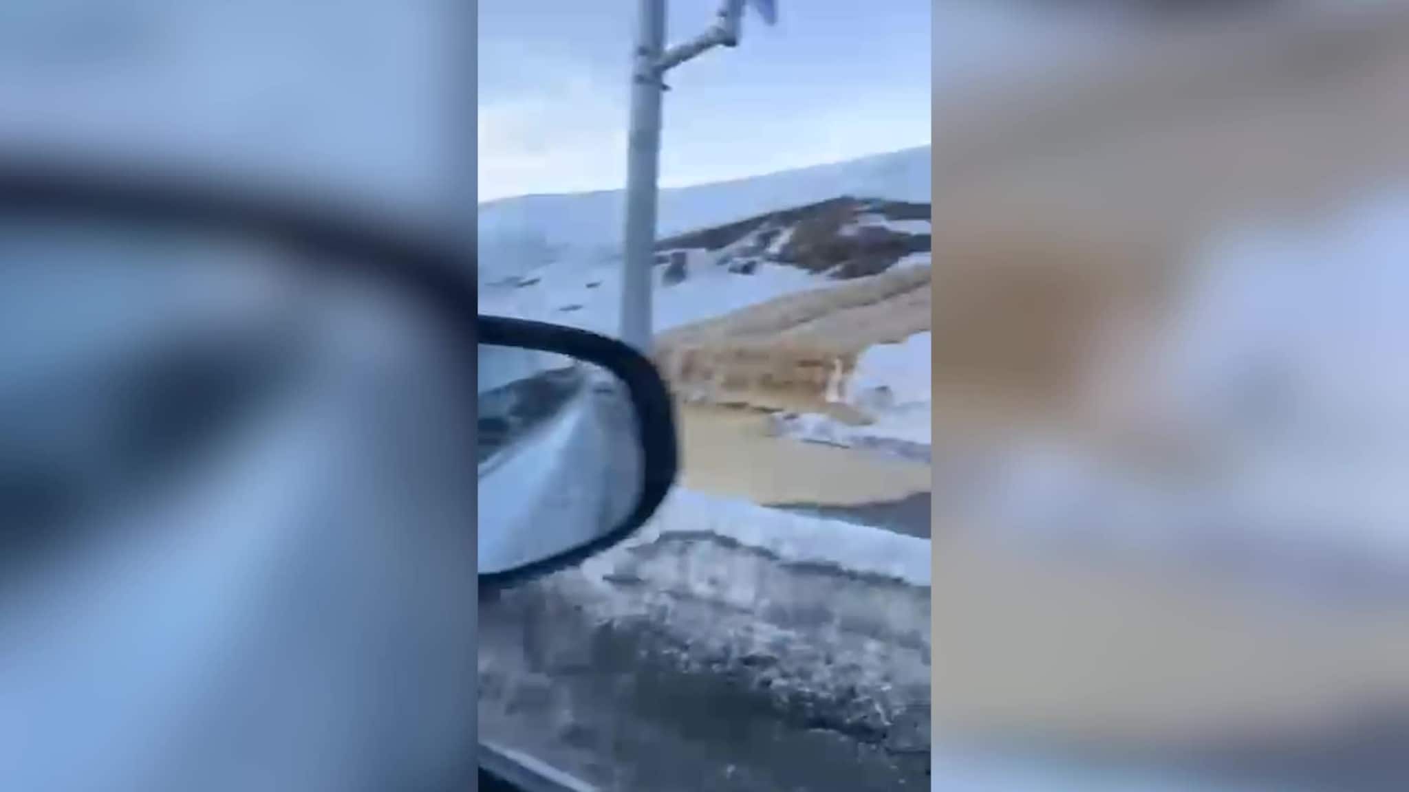 Møkk.mp4