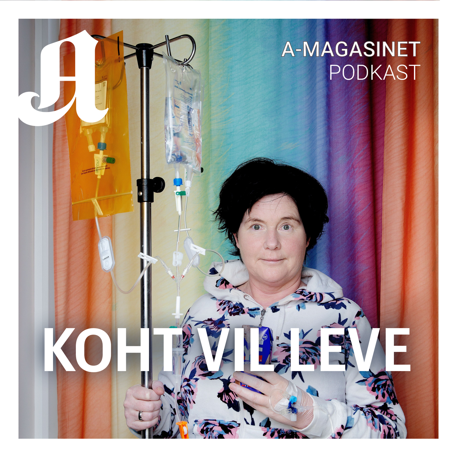 Kommer snart: Koht vil leve