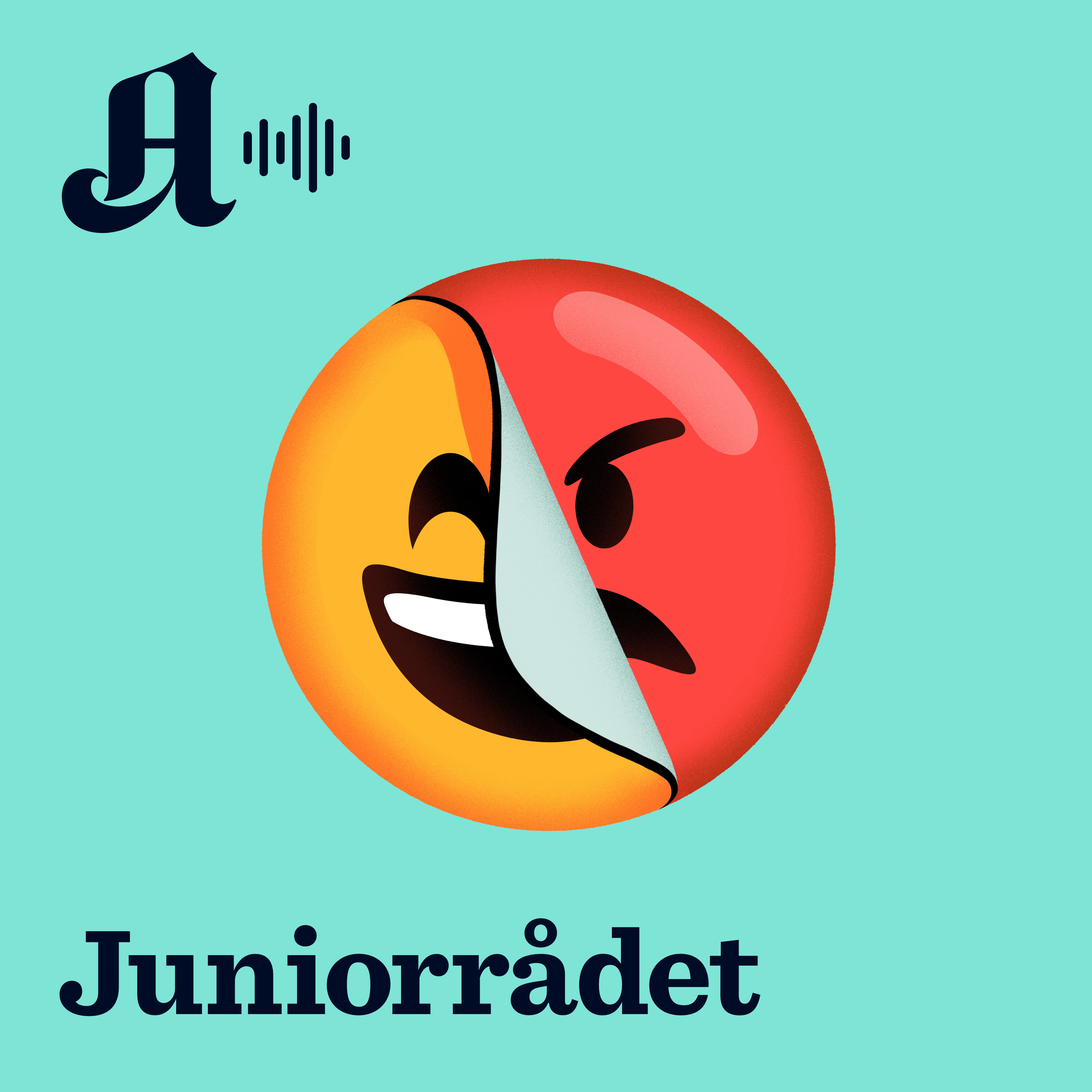 Juniorrådet