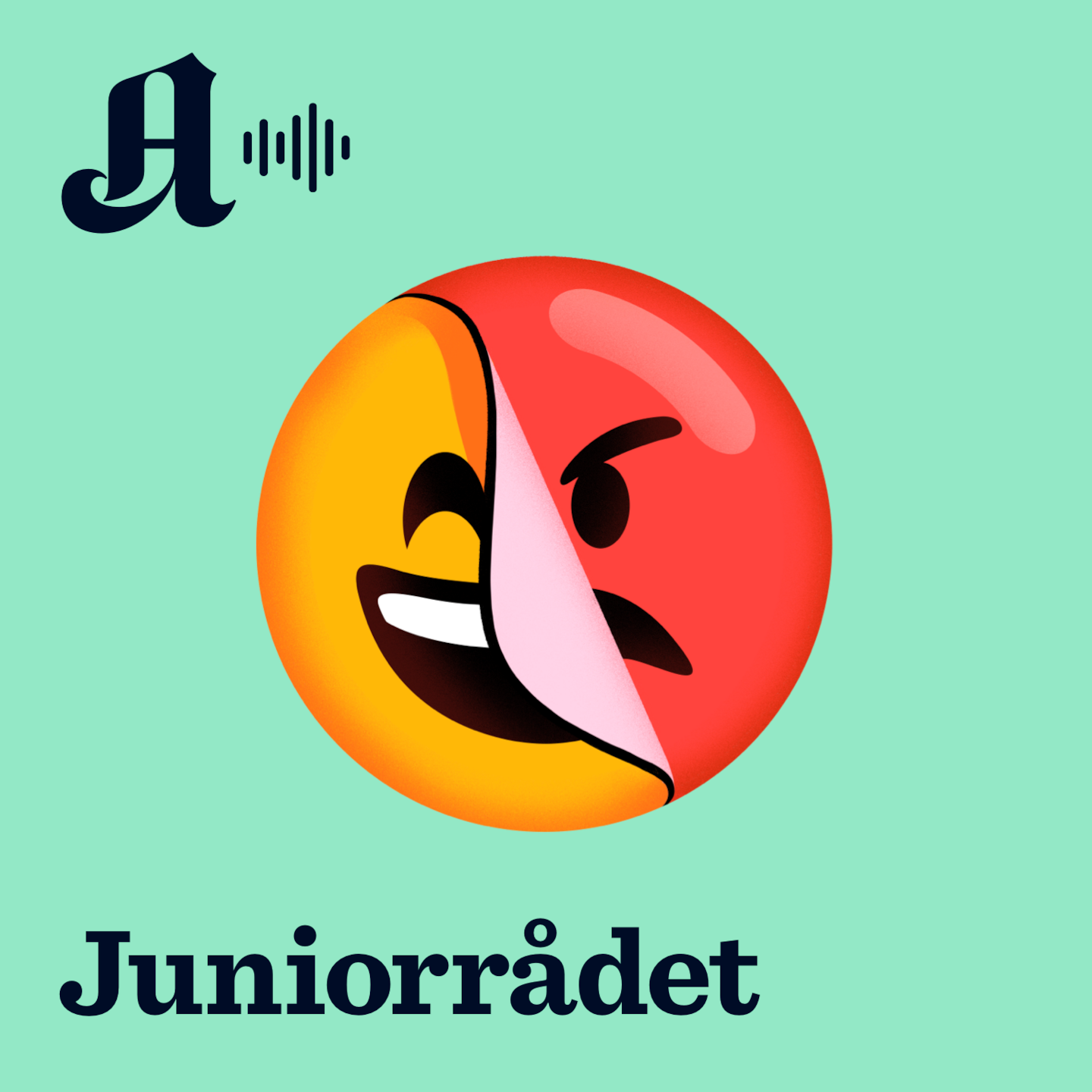 Juniorrådet