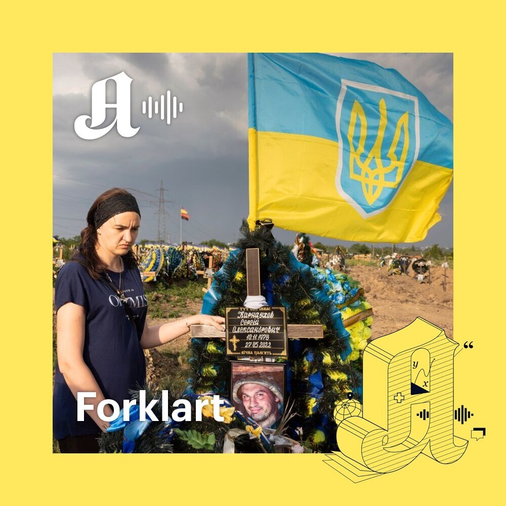 Ukraina: Den avgjørende sommeren