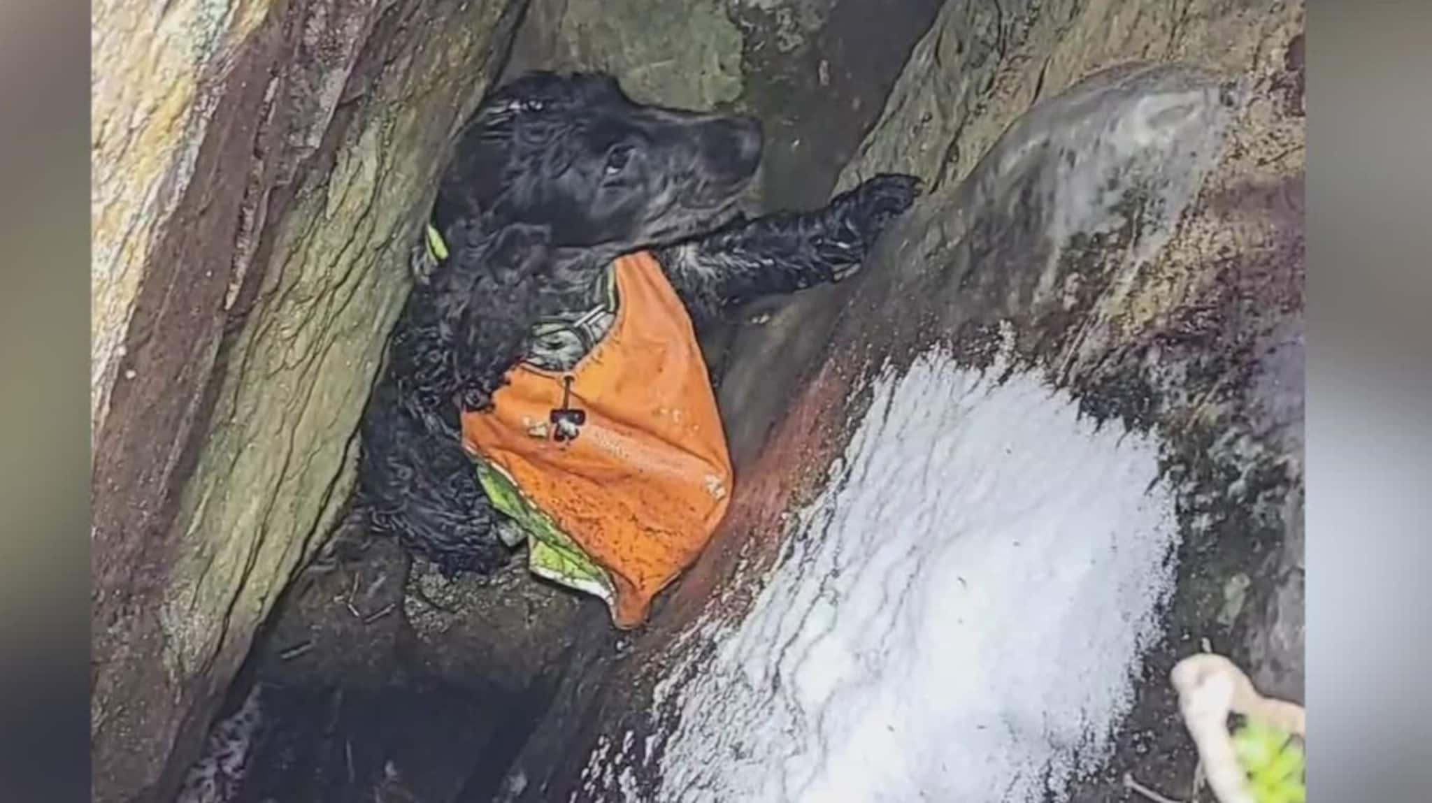 Fant Fie i fjellsprekk