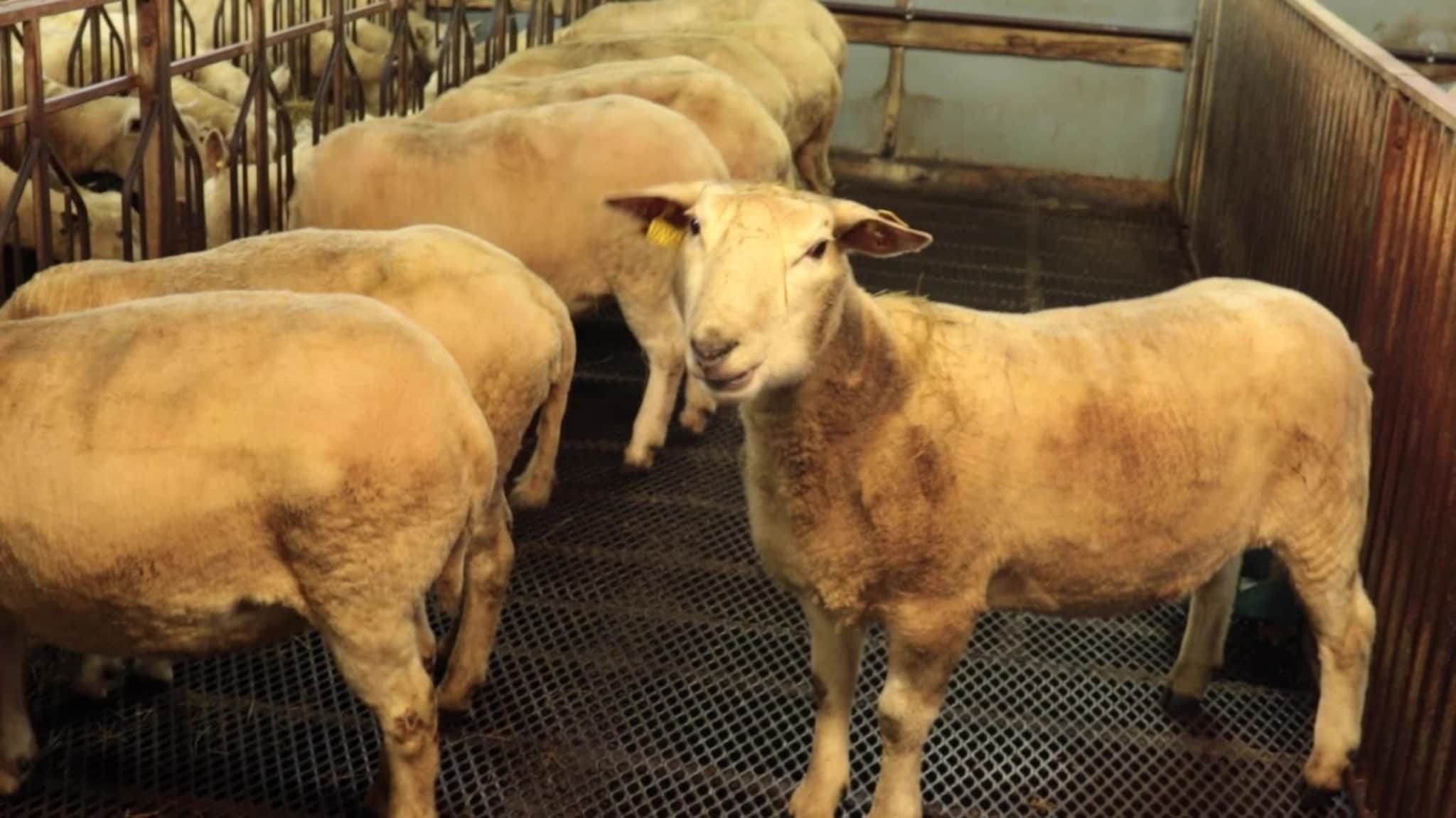 – Egentlig er det en akuttsituasjon