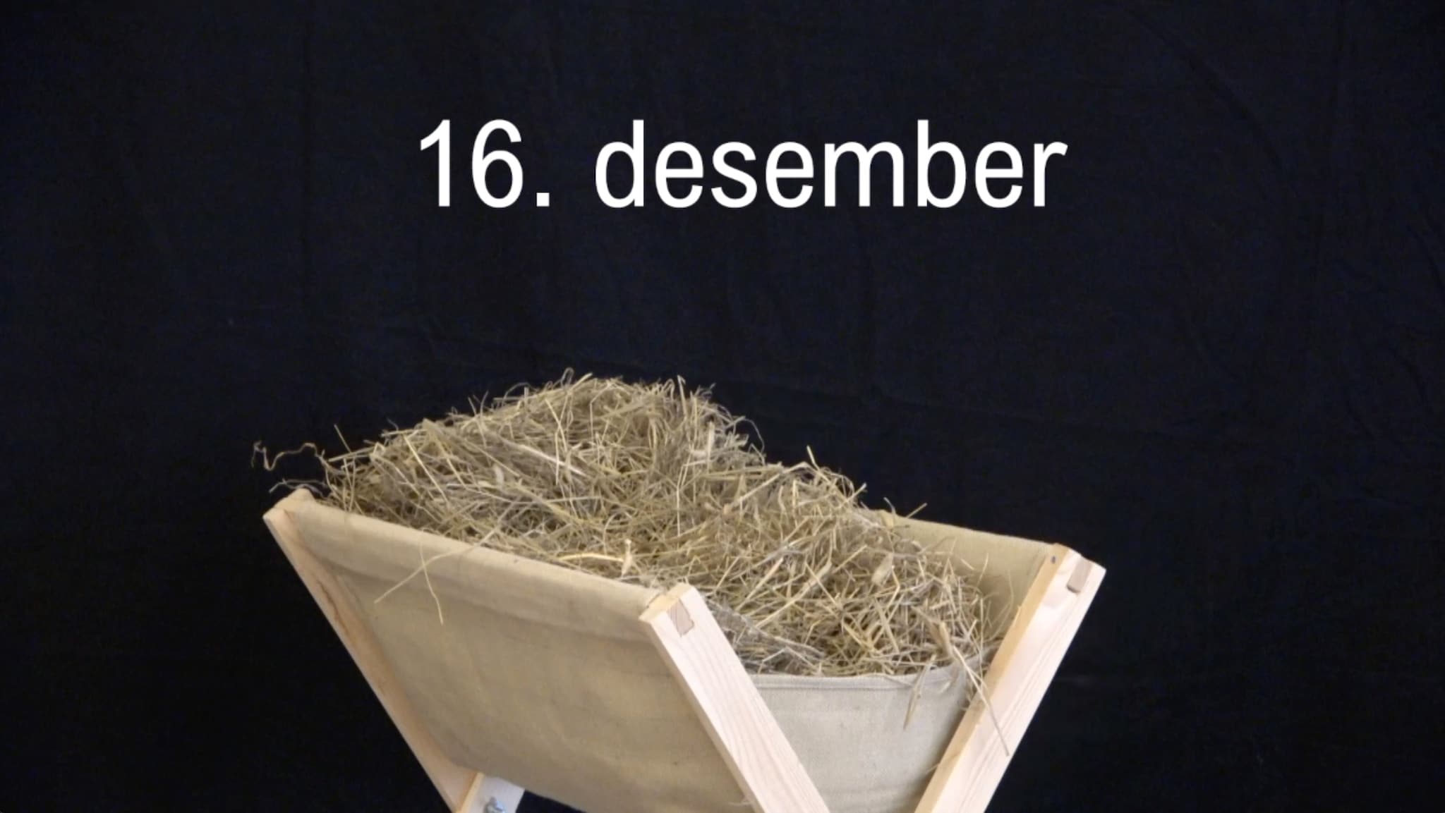 Digital adventskalender — luke 16