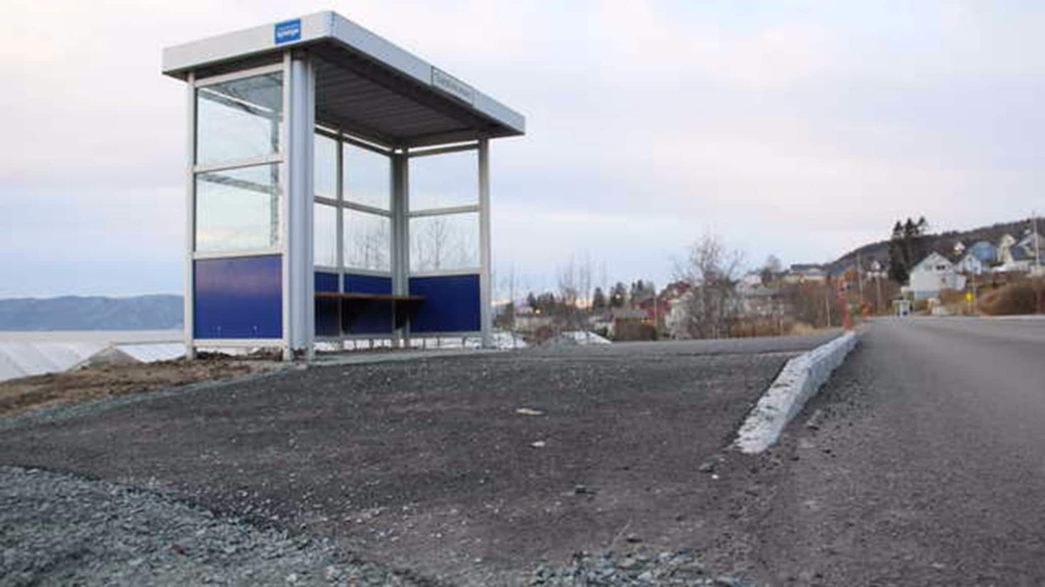 - En vei for fremtiden