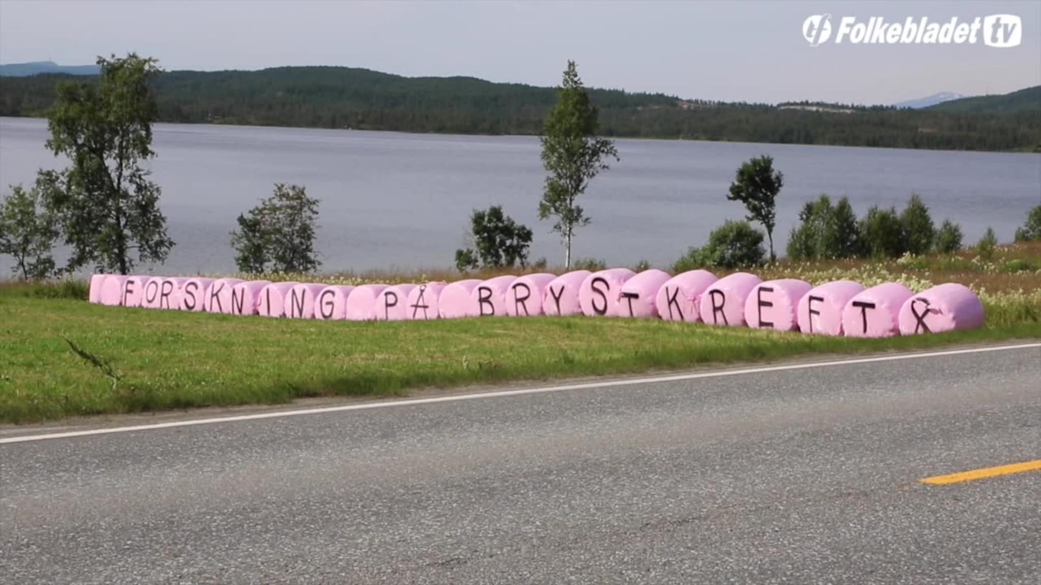 Derfor er så mange rundballer rosa