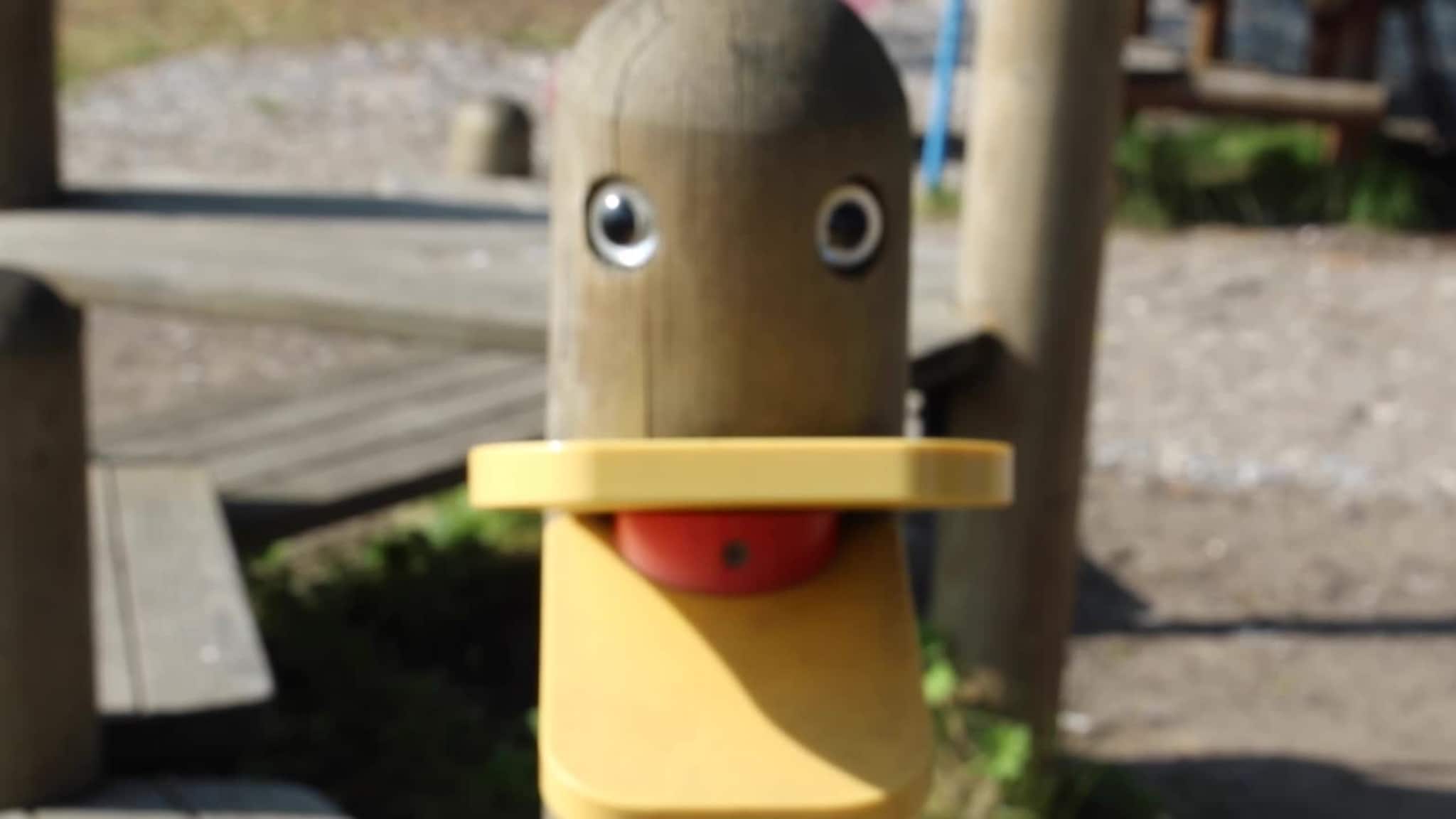 Enda en nydelig dag i nord