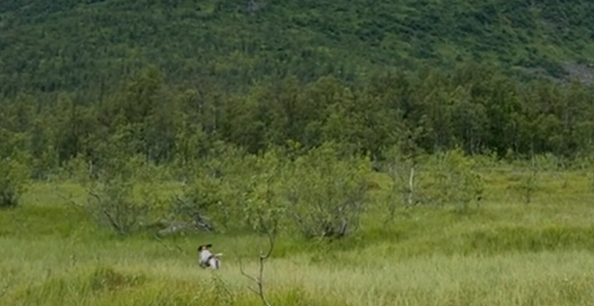 Mister populært treningsterreng: – Vi er sint og skuffa