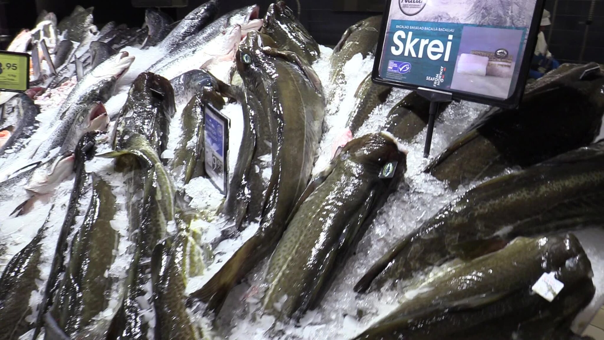 – Fiskerne gjør en viktig jobb for den spanske konsumenten