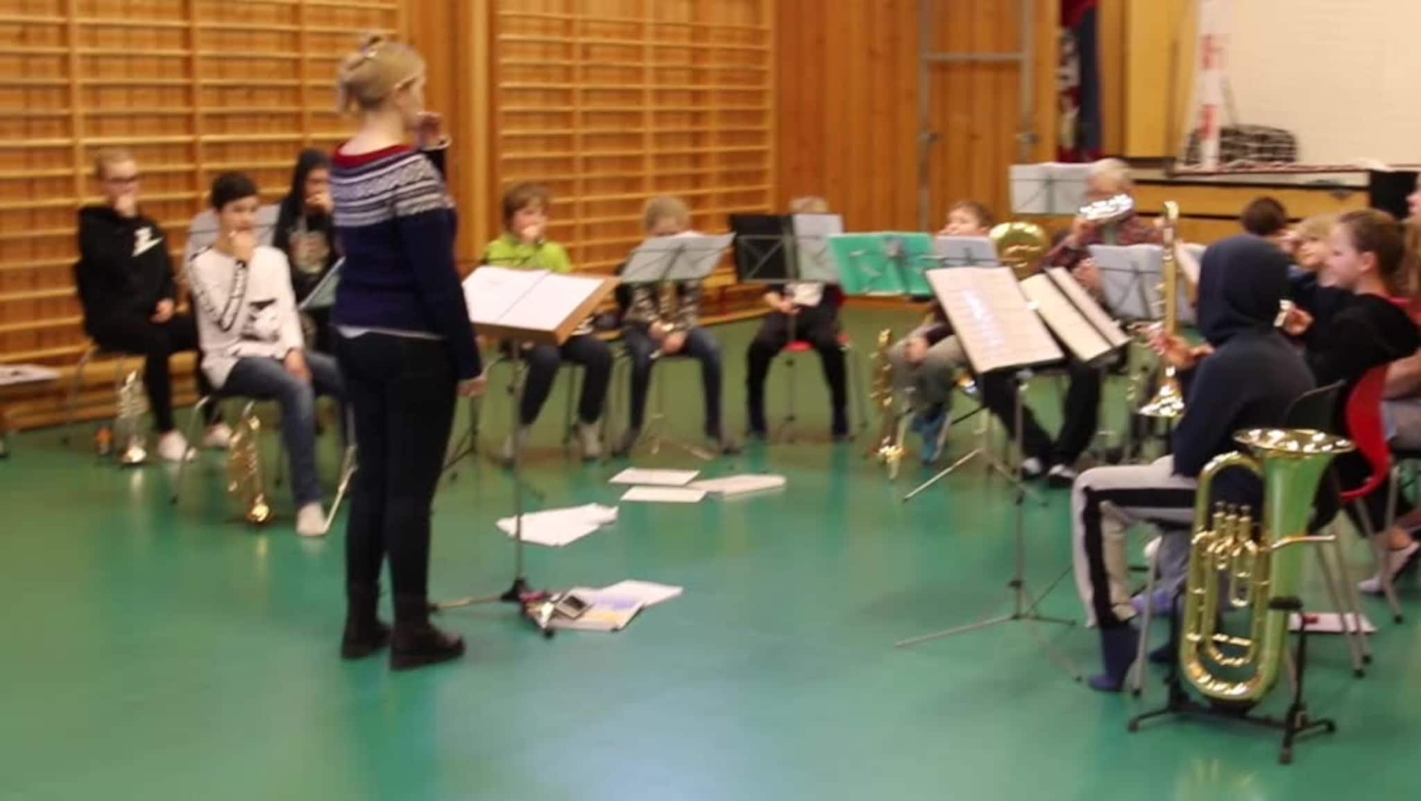 Hedrer Hollywoodmusikken