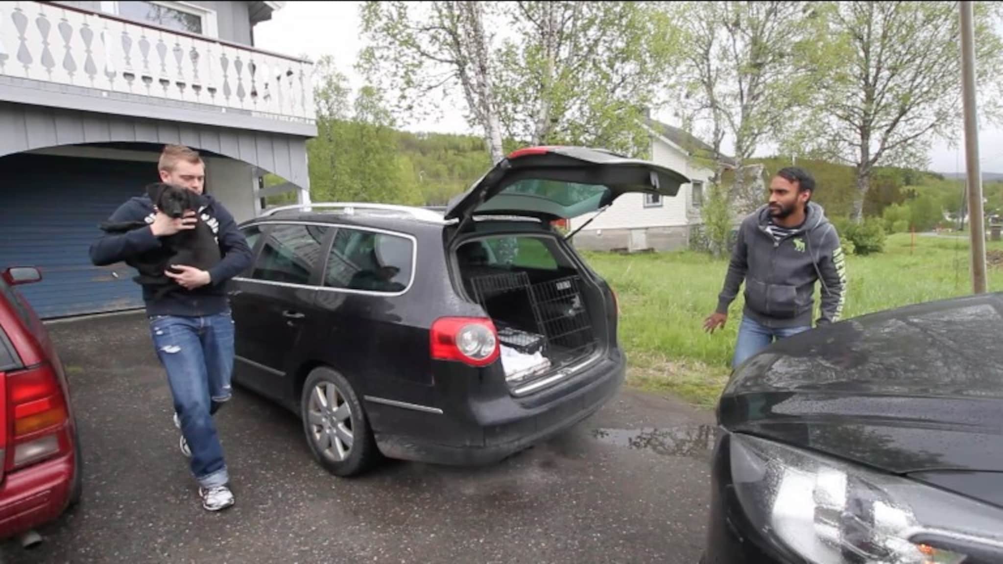 Roser Sørreisa for toleranse