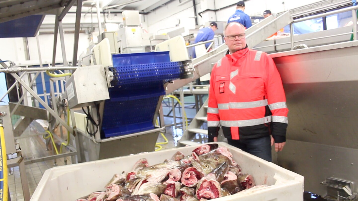 – Godt å være tilbake i fiskeindustrien