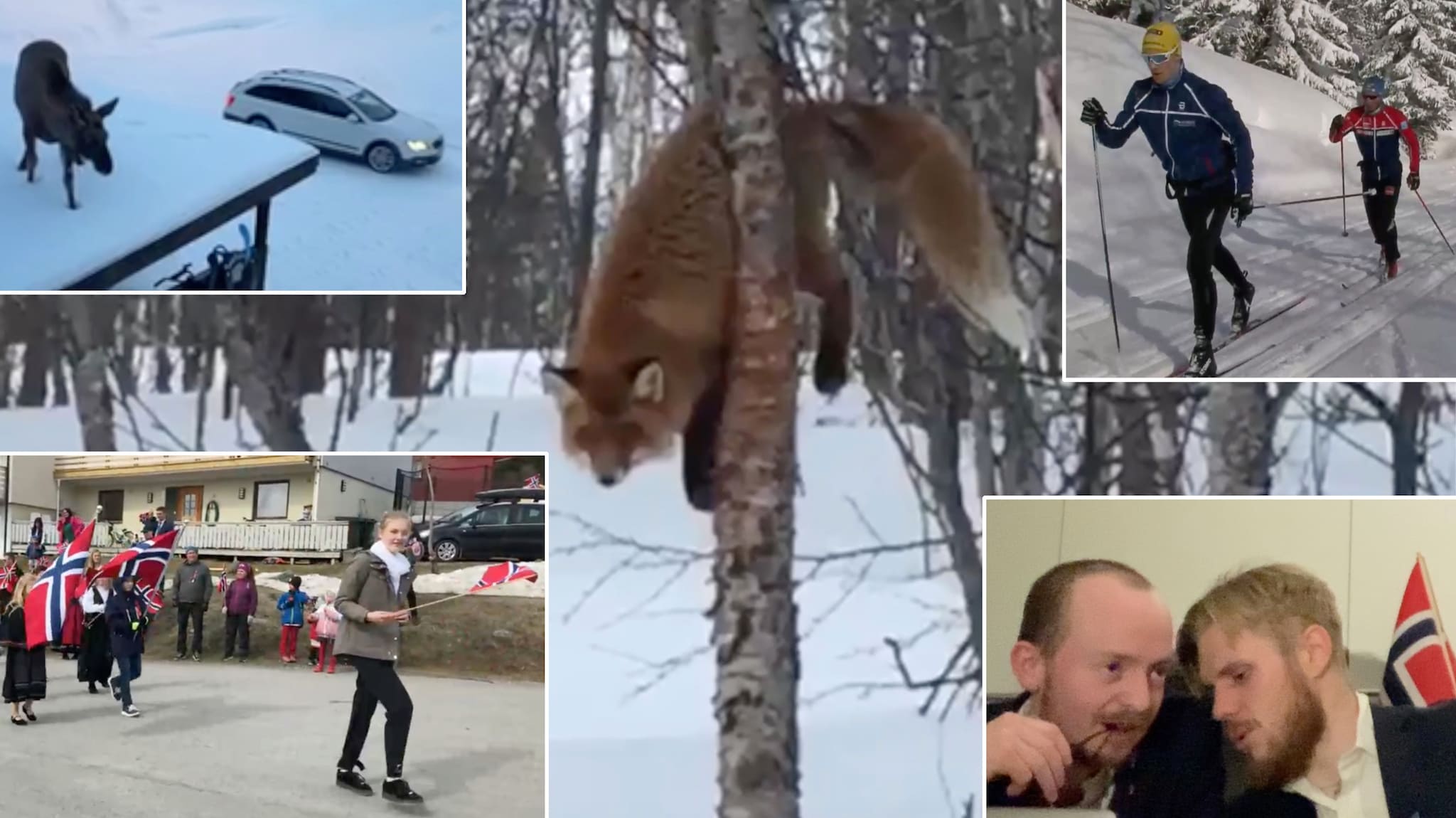 Disse videoene ble mest sett på Folkebladet-TV i 2020