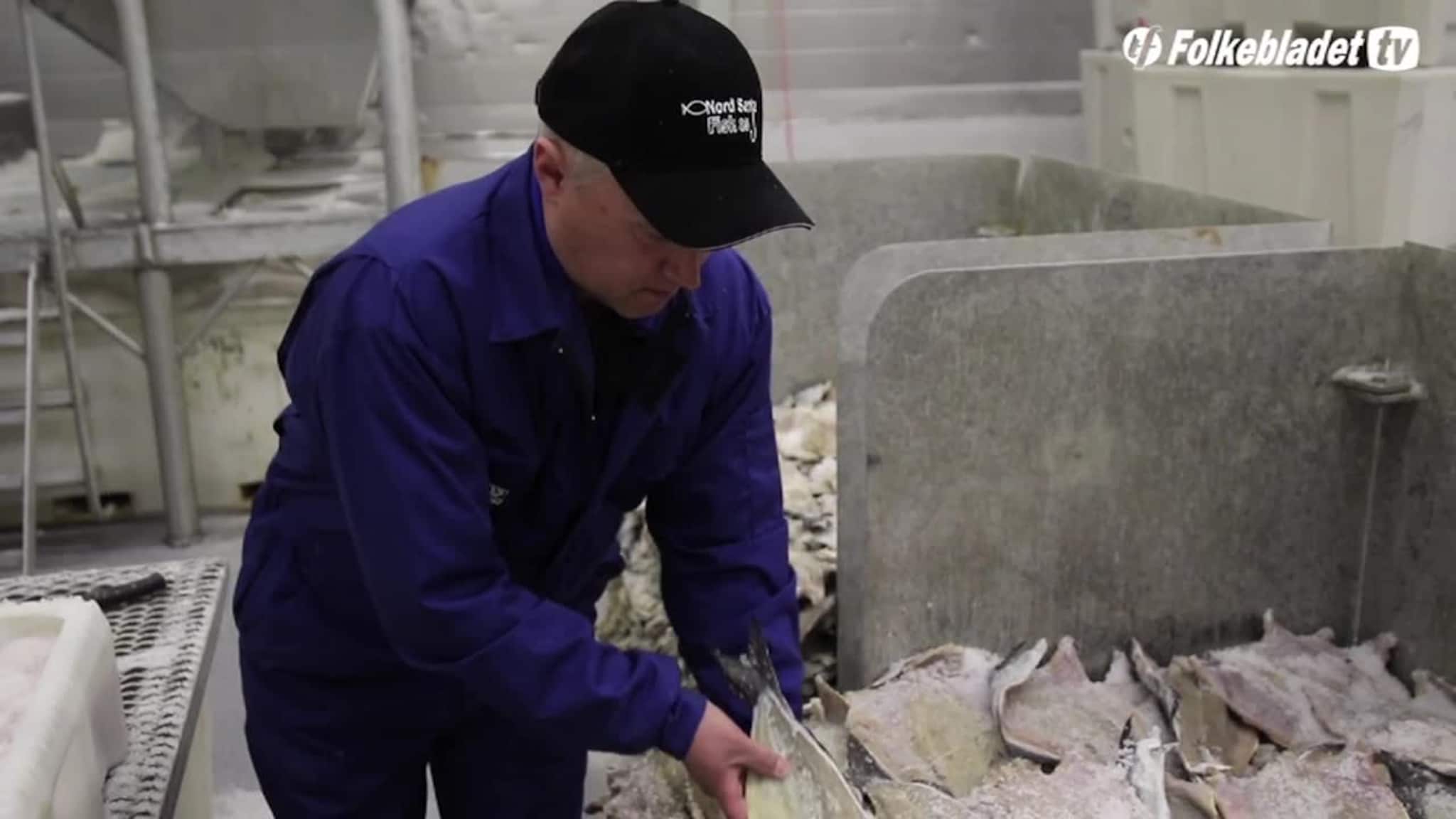 "Erstatter" laks med klippfisk