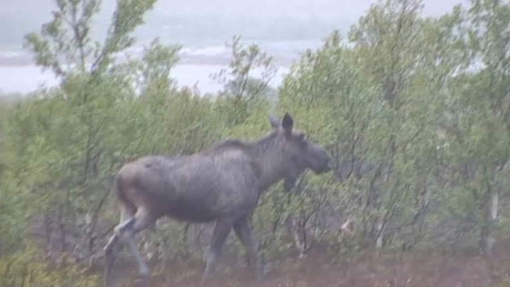 Rundtur i Troms del 3