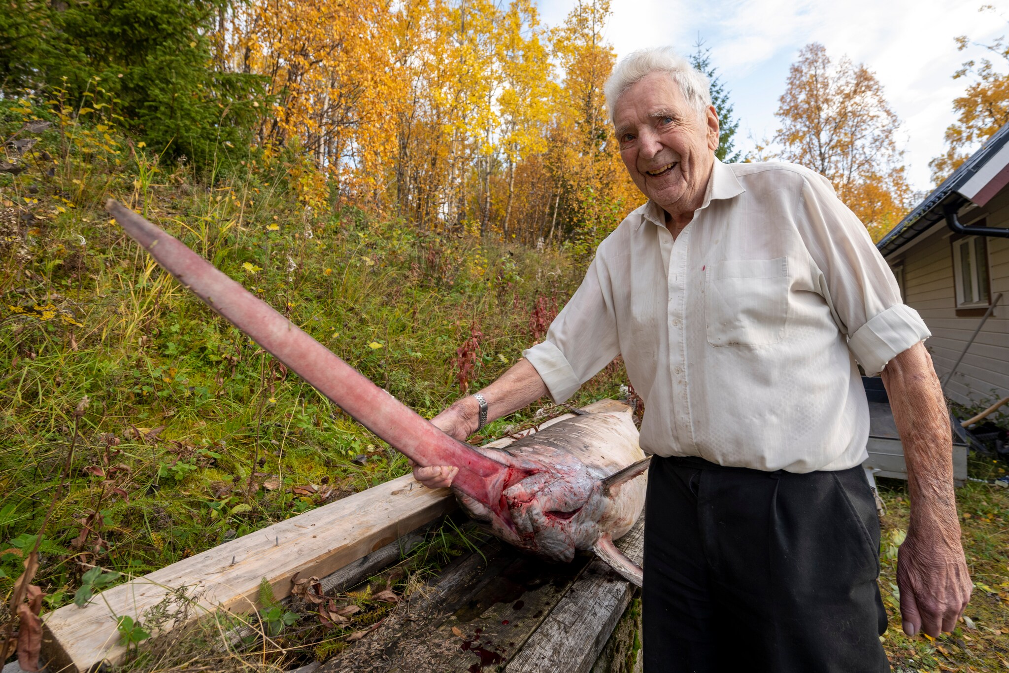 Tore (94) med sitt livs fangst — sjekk hva han fikk i sildegarnet